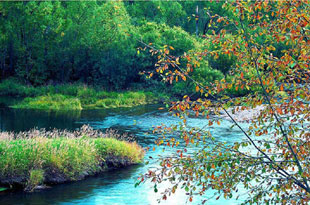 B4:根河源国家湿地公园、室韦、大兴安岭森林二日游